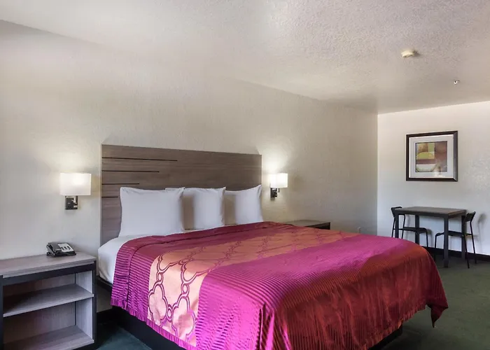 Oyo Inn & Suites Medical Center San Antonio
