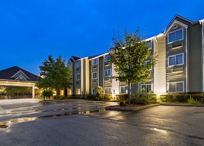 Super 8 By Wyndham San Antonio Airport North